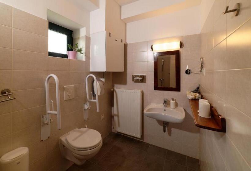 غرفة قياسية لذوى الاحتياجات الخاصة, Kosbor Panzió