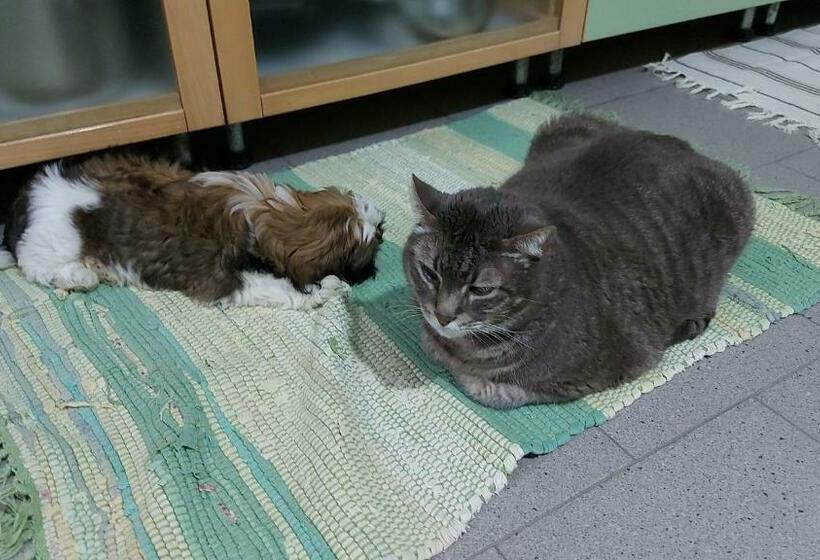 חדר דלוקס, B&b La Fontanella