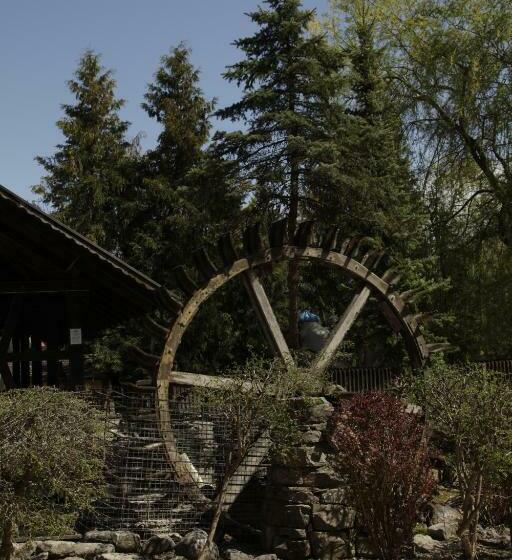 חדר סטנדרט יחיד, Erlebnisgastronomie Lochmuhle