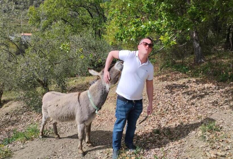 إستوديو قياسى مطلّ علي الحديقة, Il Rifugio Di Artemide Agriturismo