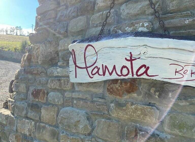 Апартаменты 1 Спальня с Террасой, Mamota B&b