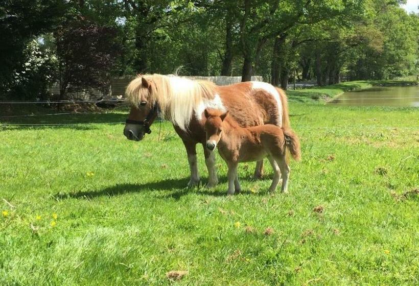 Номер Стандарт, Logis De La Clartière