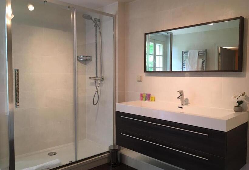 Полулюкс, Manoir Du Bois Mignon