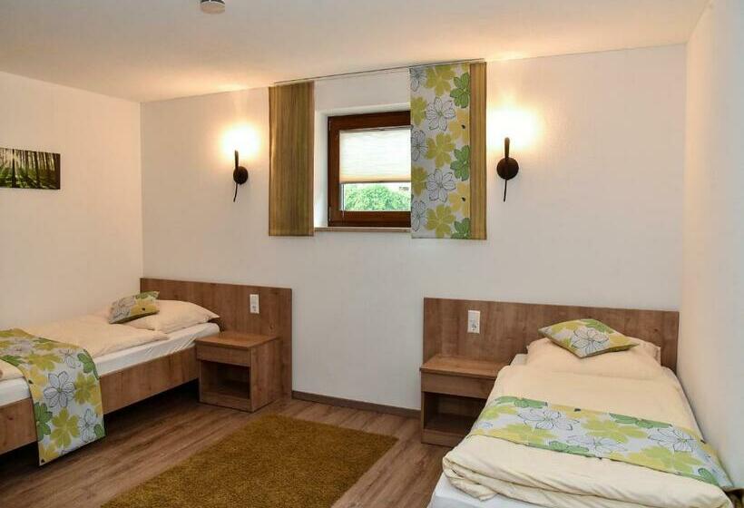 Апартаменты 1 Спальня с Террасой, Landhotel Zum Adler