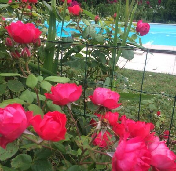 غرفة قياسية مطلّة علي الحديقة, Les Luz   Chambres D Hôtes