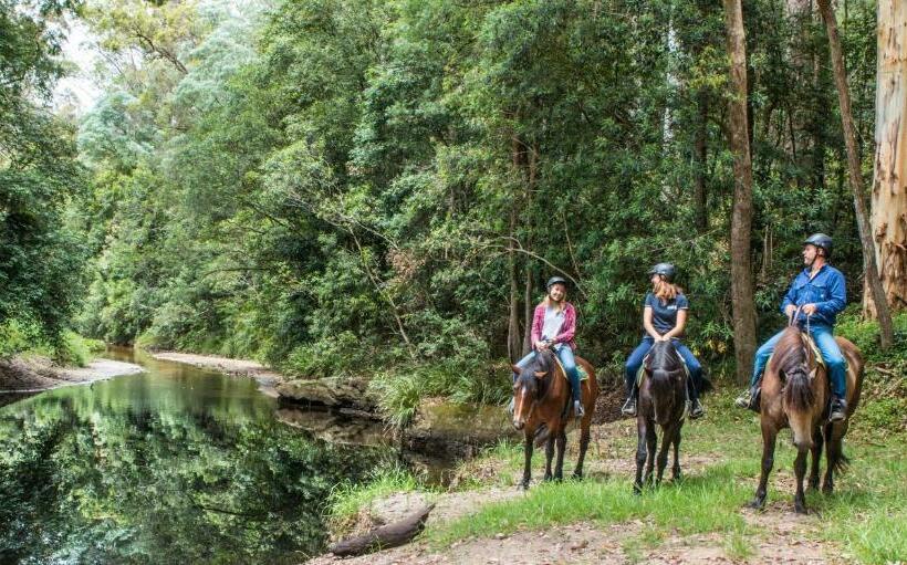 Хижина Deluxe, Glenworth Valley Wilderness Adventures