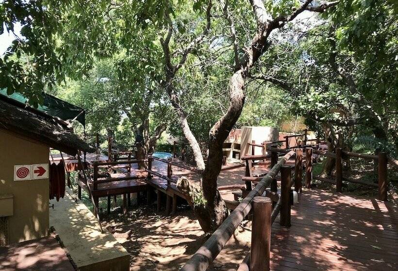 Deluxe Tent, Amafu Forest Lodge