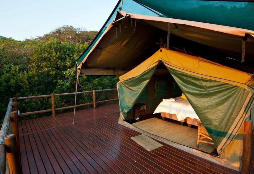 Deluxe Tent, Amafu Forest Lodge