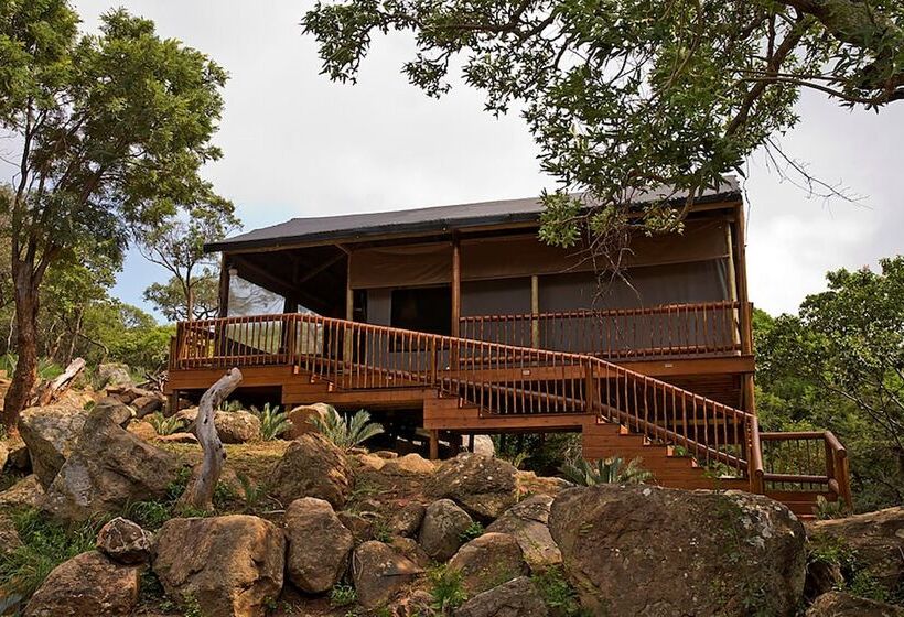 Deluxe Tent, Amafu Forest Lodge