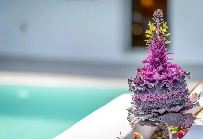 オーシャンビュースイート, Siete Mares Luxury Suites