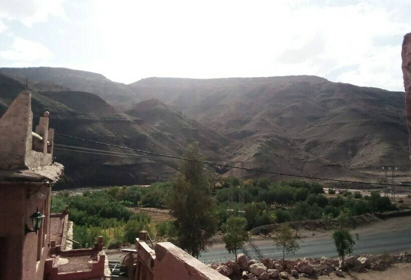 חדר משפחתי, Dar Zara