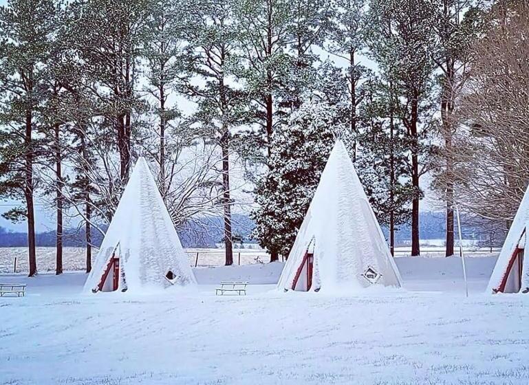 غرفة قياسية, Historic Wigwam Village No 2