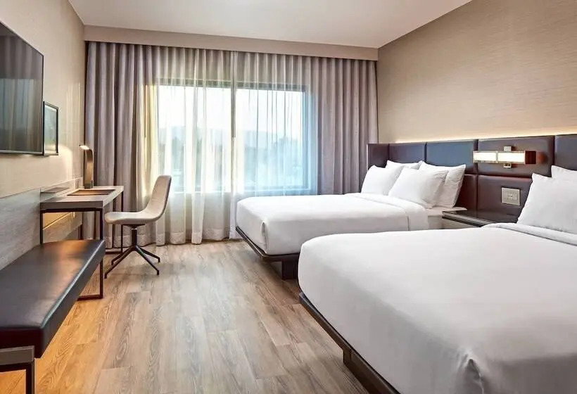 ２ダブルベッドのスタンダードルーム, Ac Hotel By Marriott Palo Alto