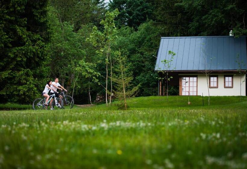 テラス付き１ベッドルームアパートメント, Amenity Hotel & Resort Orlické Hory