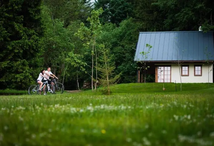 テラス付き１ベッドルームアパートメント, Amenity Hotel & Resort Orlické Hory