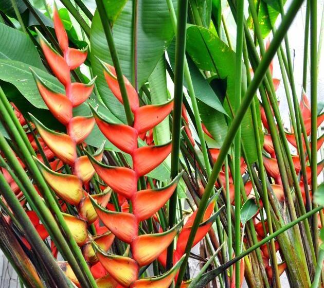 اتاق استاندارد, Jataí Guest House