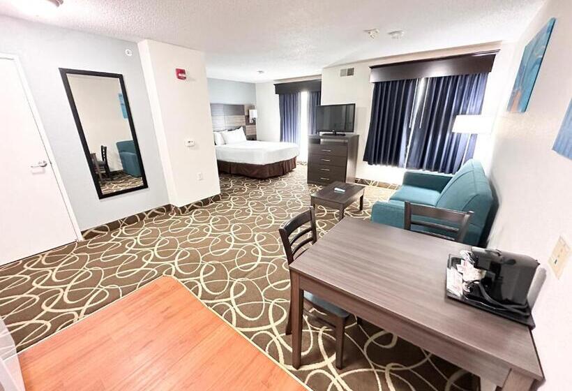 Люкс Адаптированный для Инвалидов, Mainstay Suites Madison Airport