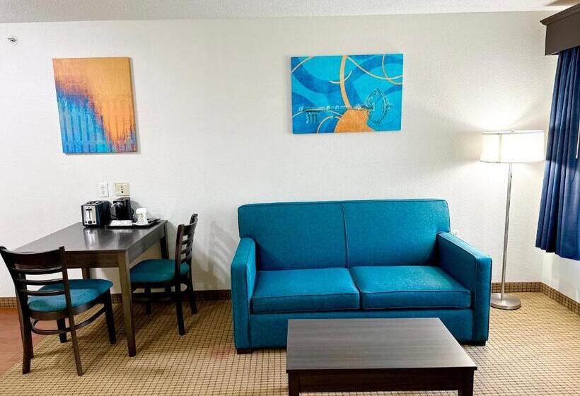 Люкс Адаптированный для Инвалидов, Mainstay Suites Madison Airport