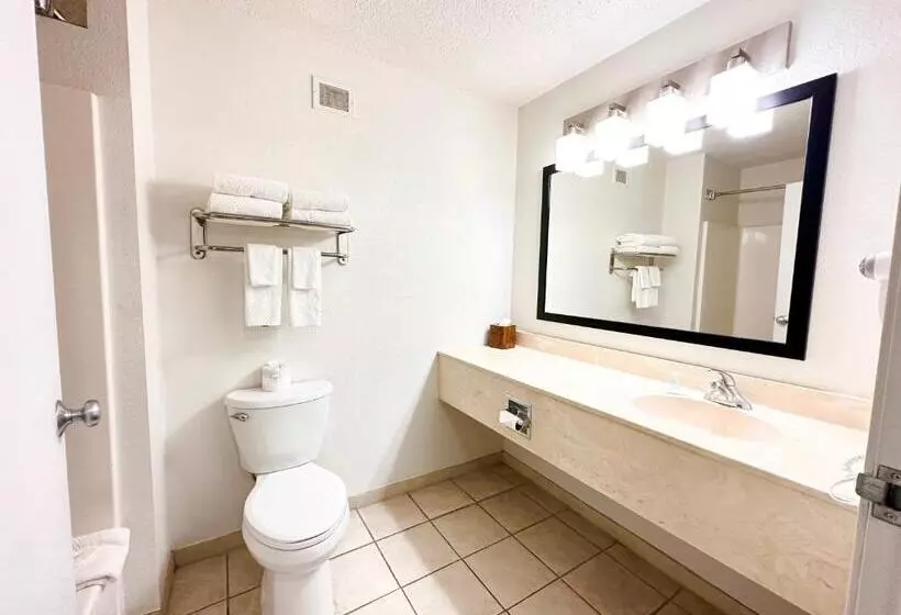 Sviitti, Mainstay Suites Madison Airport