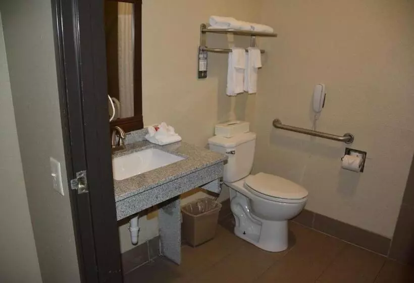 اتاق استاندارد با تخت بزرگ برای معلولان, Super 8 By Wyndham Altoona