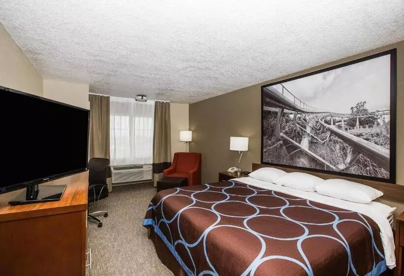 اتاق استاندارد با تخت بزرگ, Super 8 By Wyndham Altoona