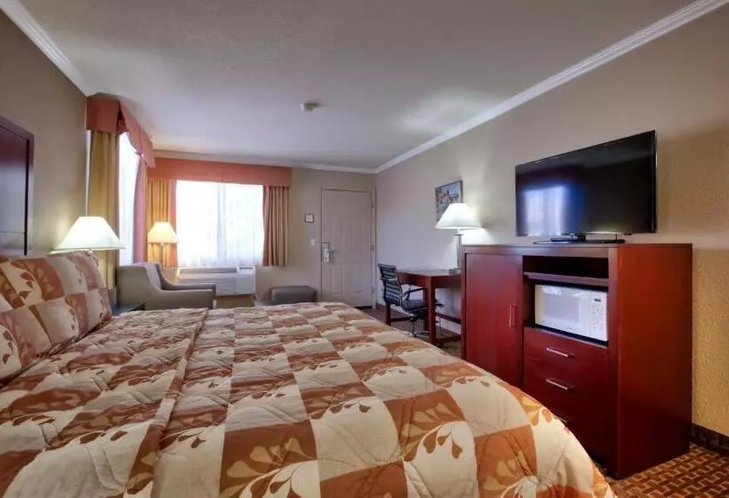 اتاق استاندارد یک نفره, The Views Inn Sedona