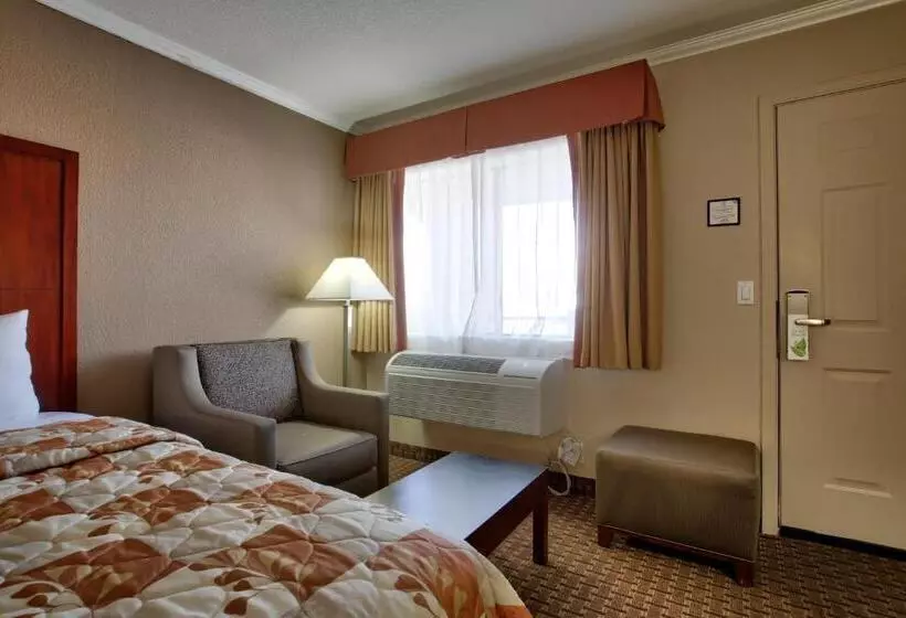 اتاق استاندارد, The Views Inn Sedona