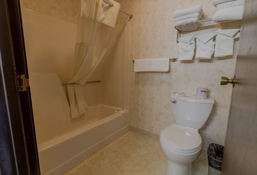 스탠다드 룸 더블 침대 2개, Thunderbird Lodge