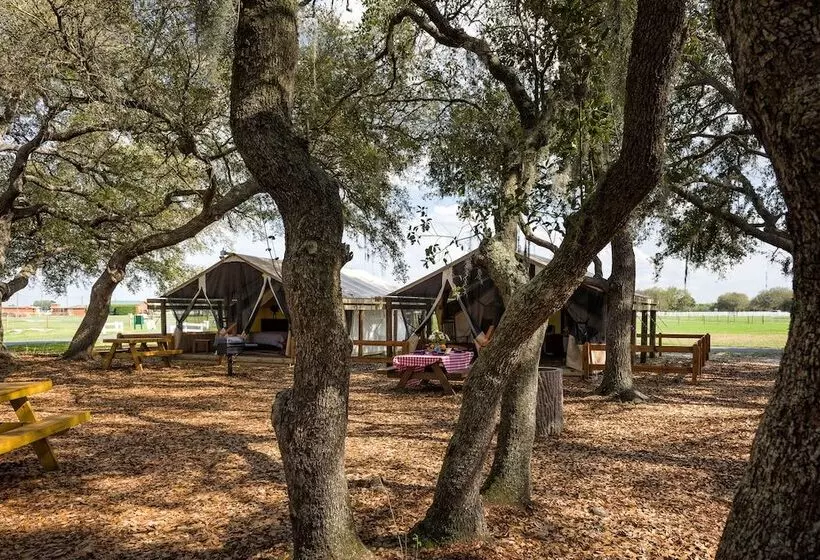 スタンダードルーム, Westgate River Ranch Resort & Rodeo
