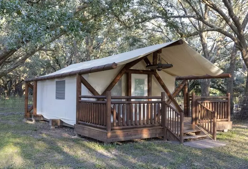 デラックスルーム, Westgate River Ranch Resort & Rodeo