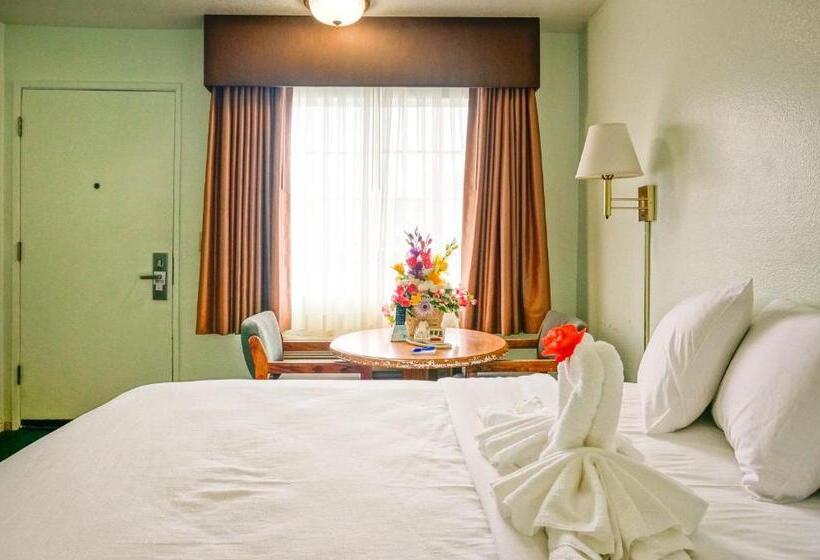 带大床的标准间, Oceanview Motel