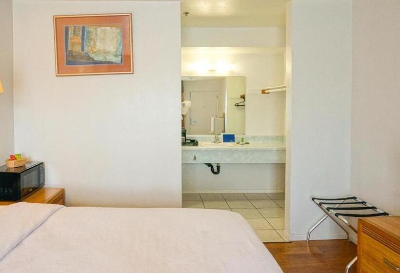 带大床的标准间, Oceanview Motel