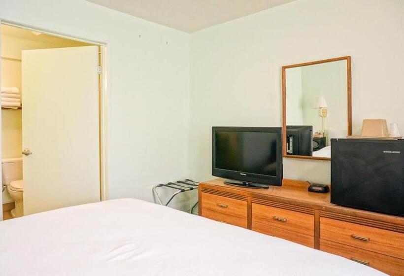 带大床的标准间, Oceanview Motel