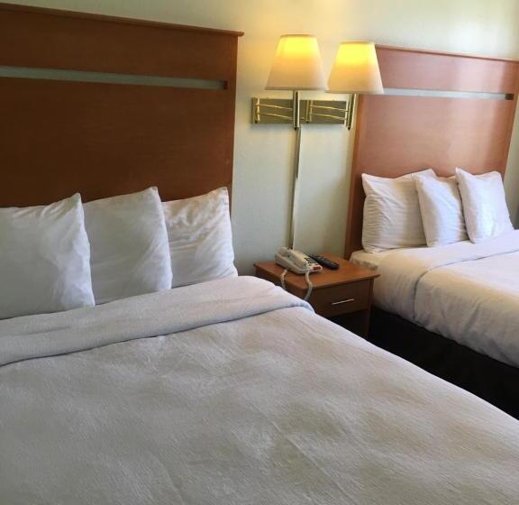 豪华房间, Oceanview Motel