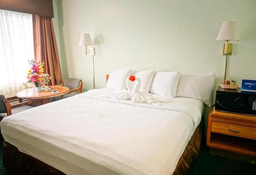 带大床的豪华间, Oceanview Motel