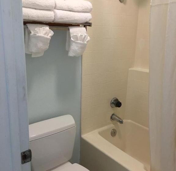 带大床的豪华间, Oceanview Motel