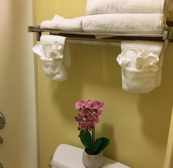 带大床的标准间, Oceanview Motel