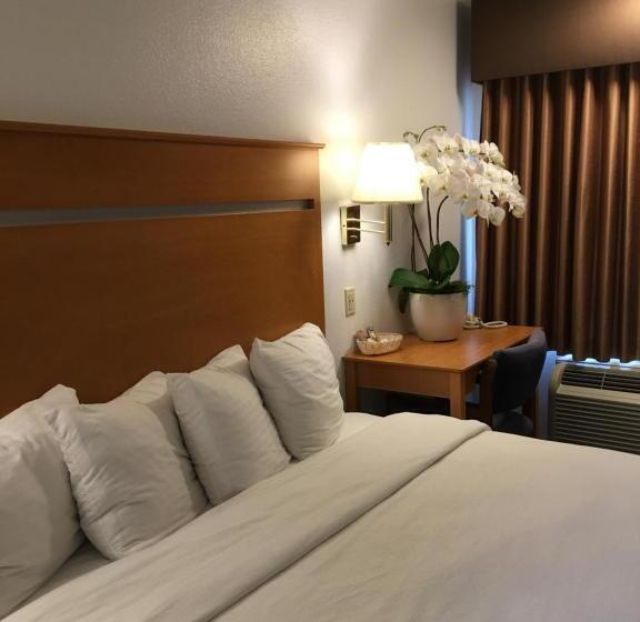 Quarto Deluxe Cama King, Oceanview Motel