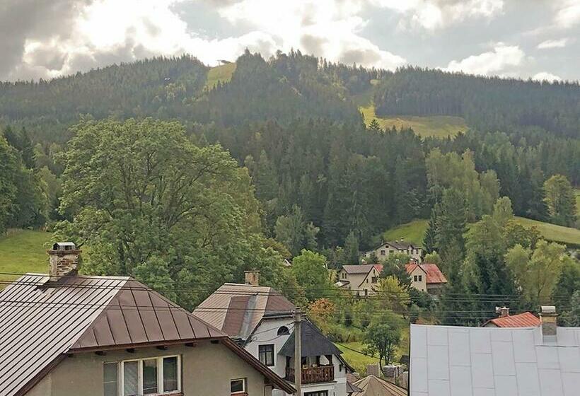 스탠다드 트리플 룸, Penzion Sally