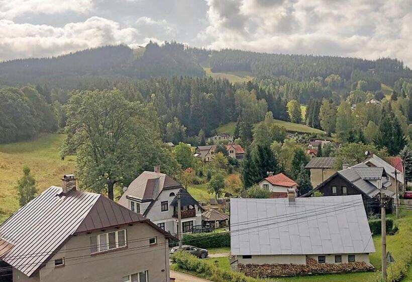 스탠다드 트리플 룸, Penzion Sally