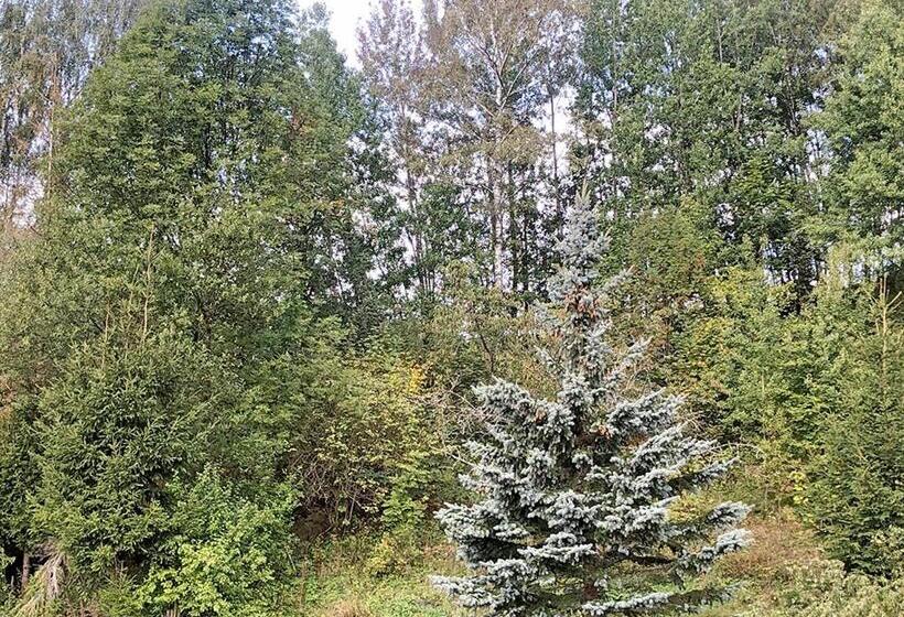 스탠다드 룸, Penzion Sally