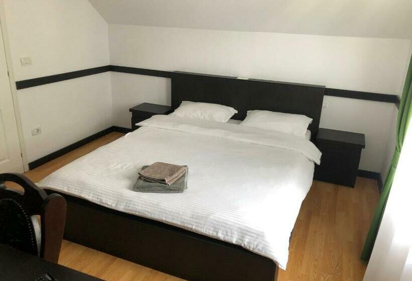 اتاق استاندارد, Pensiunea Alyna