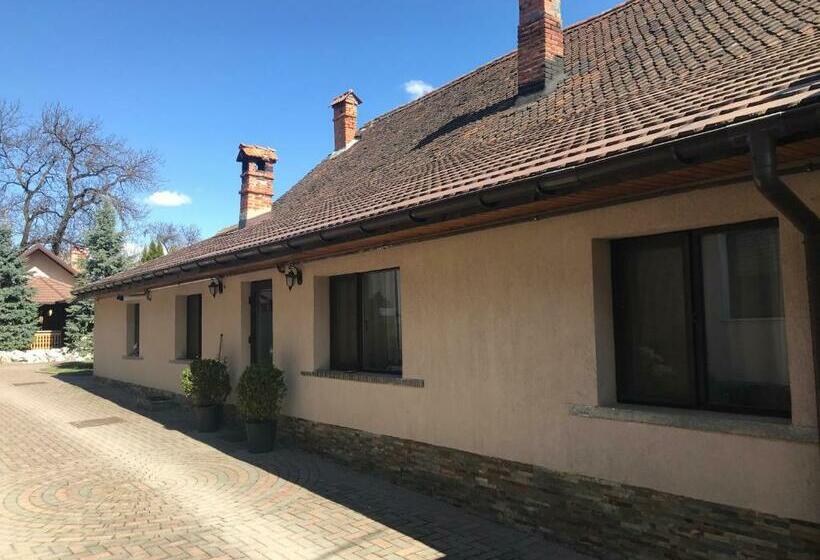 شقة غرفتين, Pensiunea Haiduc Sacele Brasov