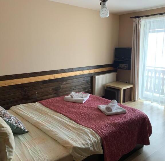 Habitació Deluxe, Pensiunea Haiduc Sacele Brasov