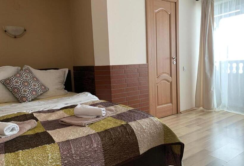 غرفة ديلوكس, Pensiunea Haiduc Sacele Brasov