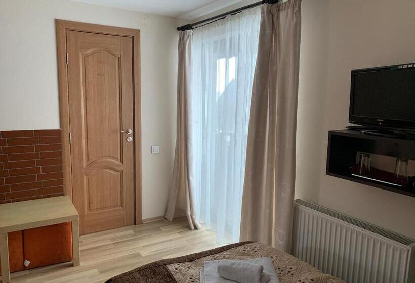 غرفة ديلوكس, Pensiunea Haiduc Sacele Brasov