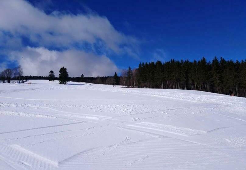 Трехместный Номер Комфорт, Wellness Pension Iveta