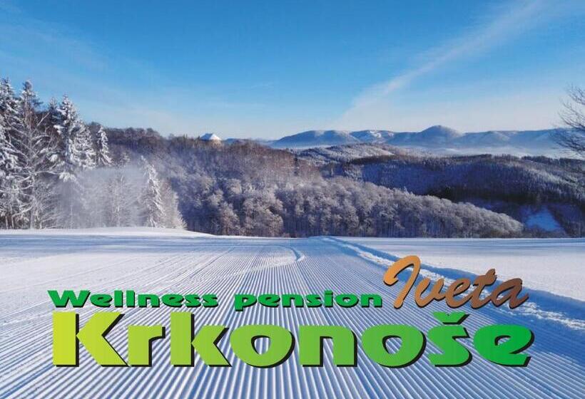 Трехместный Номер Deluxe, Wellness Pension Iveta