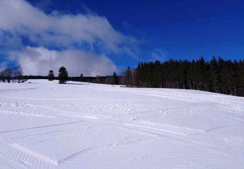 Трехместный Номер Deluxe, Wellness Pension Iveta