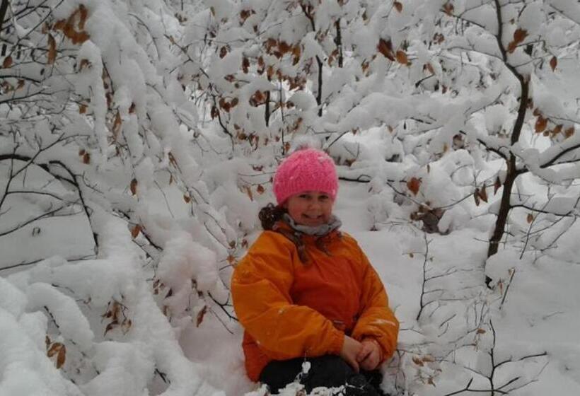 Апартаменты Deluxe 1 Спальня, Wellness Pension Iveta